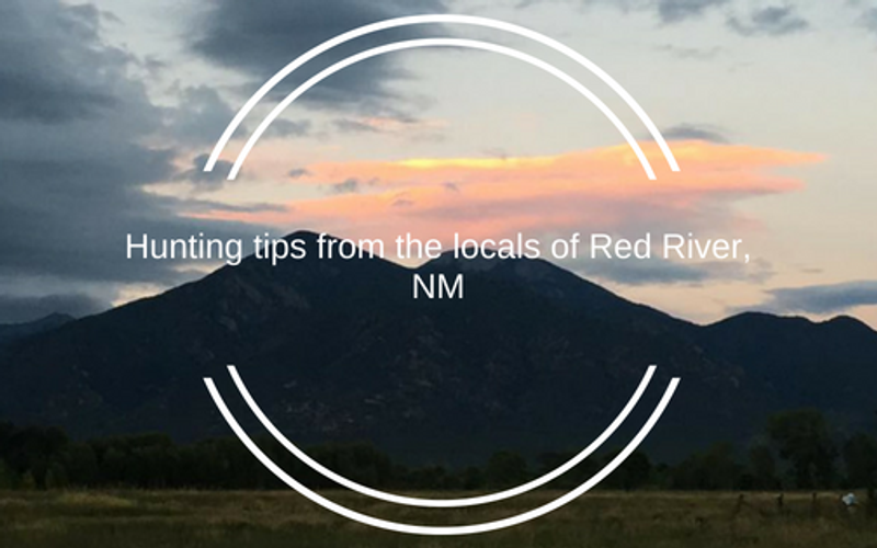 Hunting Tips from the Locals
