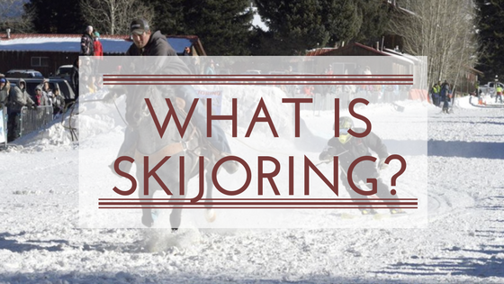 What is Skijoring?