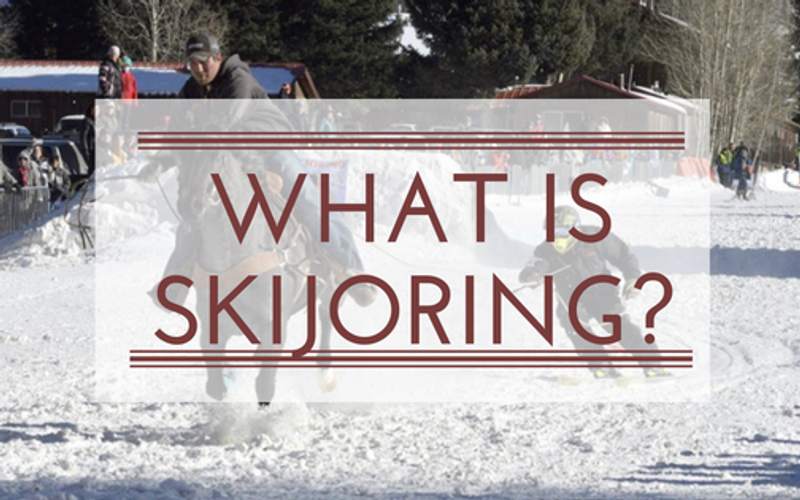 What is Skijoring?