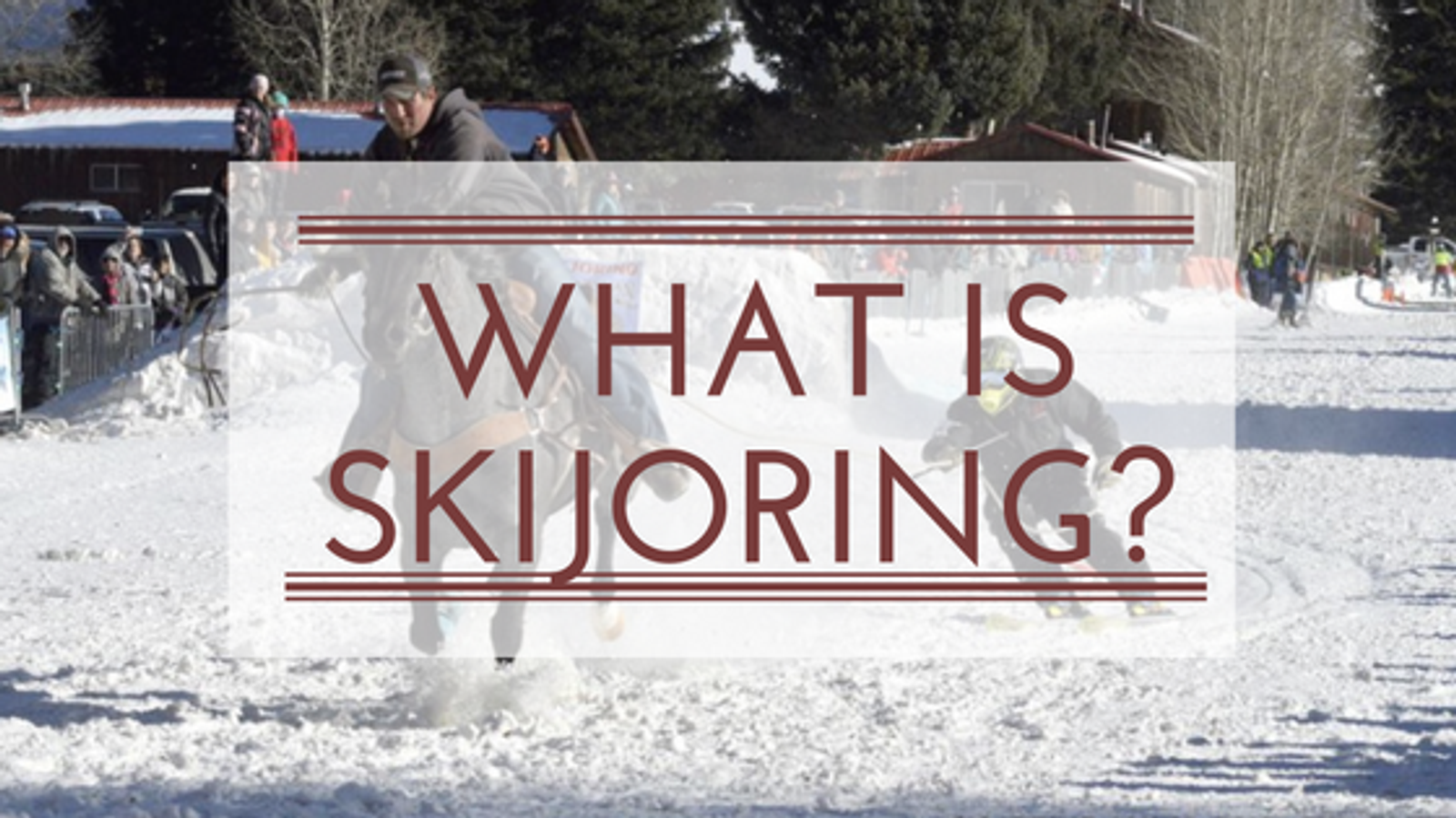 What is Skijoring?