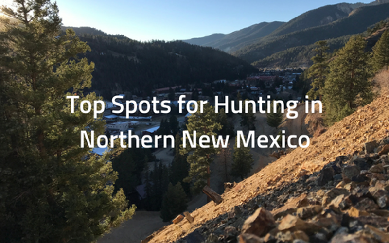 Top Spots for Hunting in Northern New Mexico
