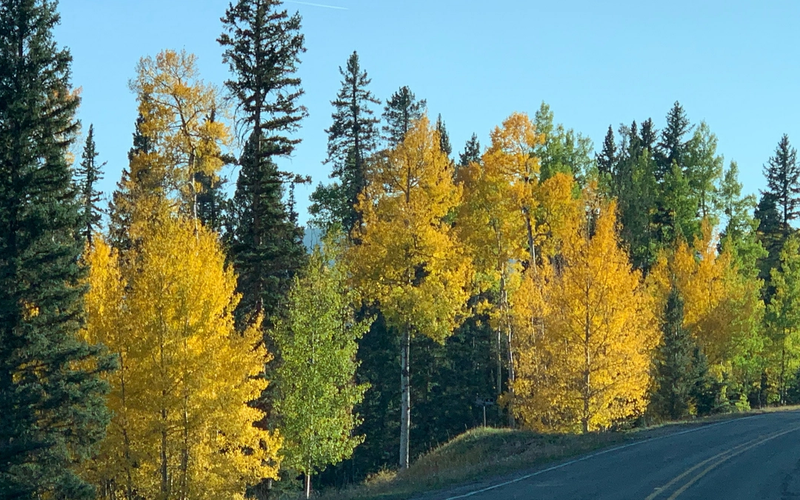 Why Red River is a Destination for Your September Vacay