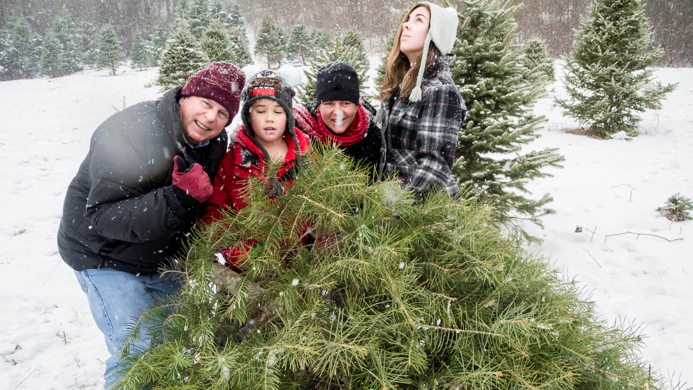 Why Red River is the Perfect Place to Spend the Holidays