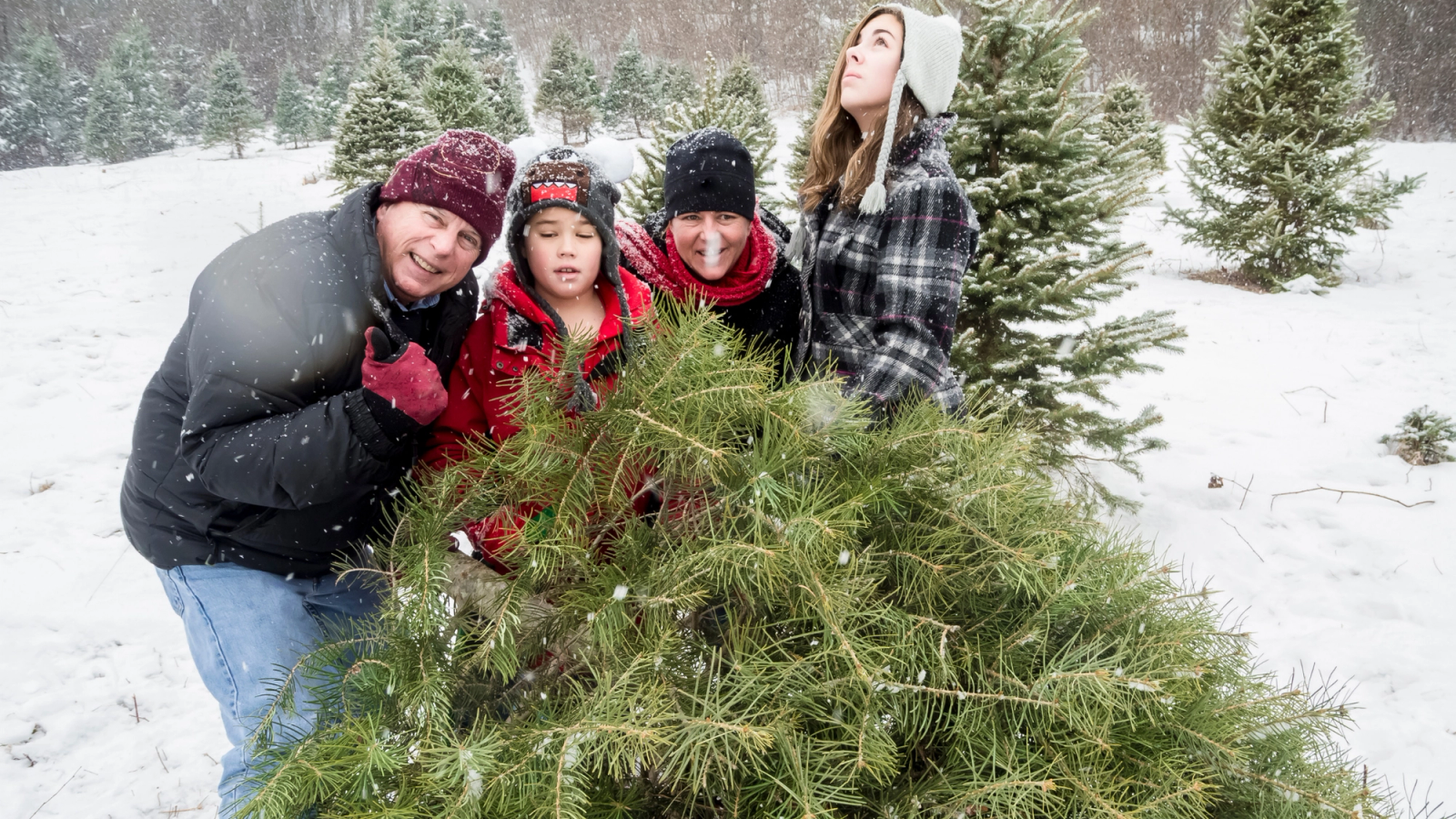 Why Red River is the Perfect Place to Spend the Holidays