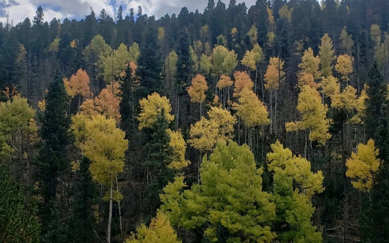 Top 5 Spots For Fall Foliage Viewing