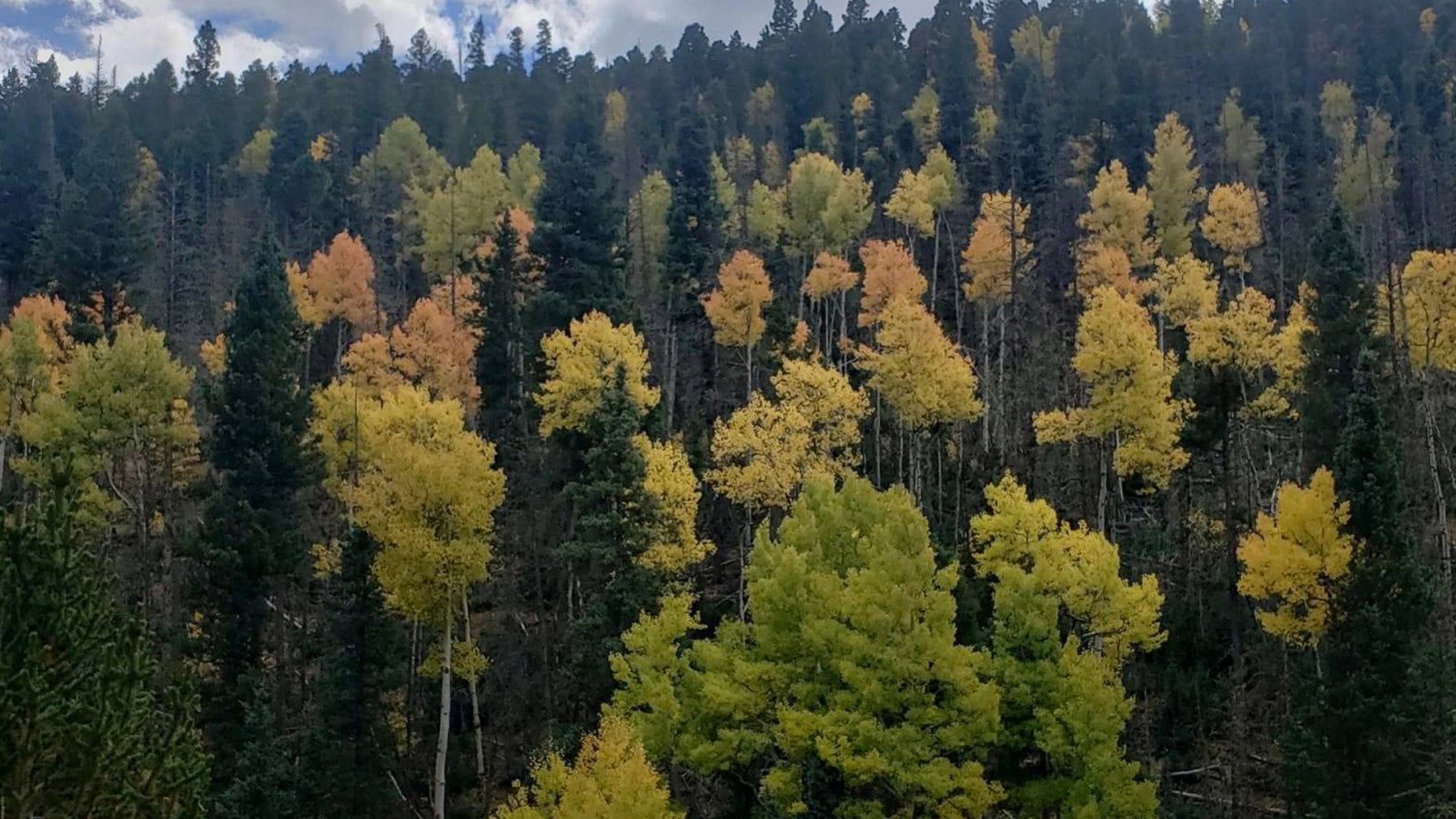 Fall in Red River, NM