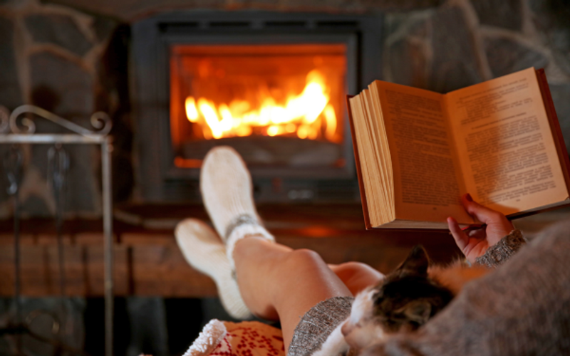 Gas, Wood Burning Fireplaces and Wood Burning Stoves- Know the Difference