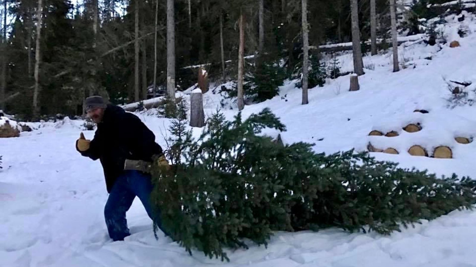 Picking the Perfect Christmas Tree