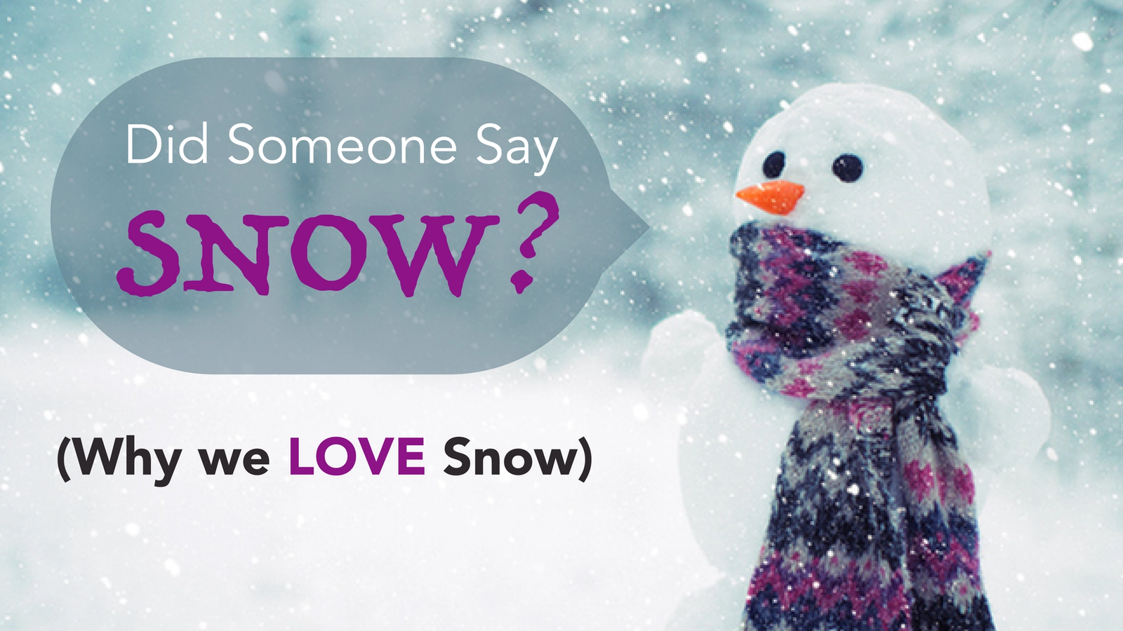 Did Someone Say Snow - Why We Love Snow