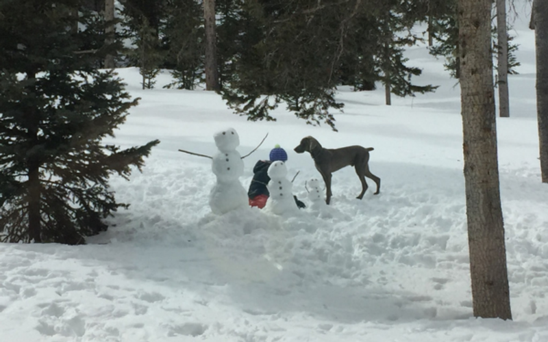 How to Build a Proper Snowman - Local Techniques