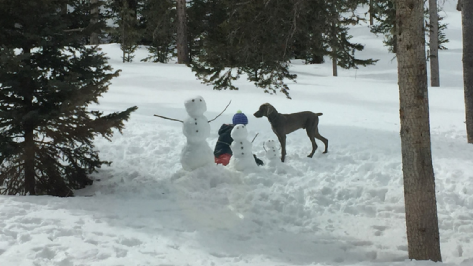 How to Build a Proper Snowman - Local Techniques