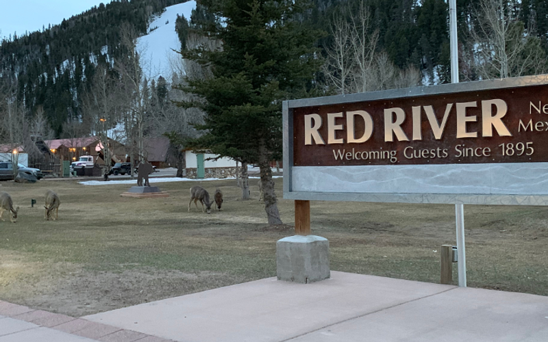 New Mexico’s Favorite Spring Break Destination