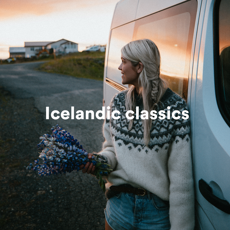 a woman holding a bouquet of flowers leaning against a van with the words icelandic classics above her