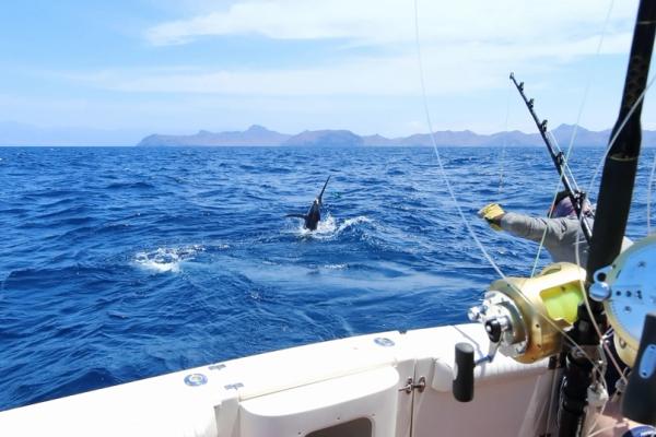 Gente pescando en una lancha
