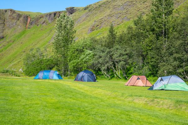 4 tiendas de campaña en un campo verde con árboles alrededor