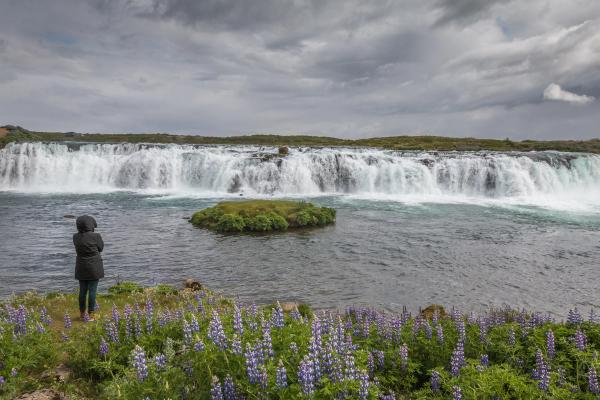 Complete Travel Guide to Faxi Waterfall in Iceland
