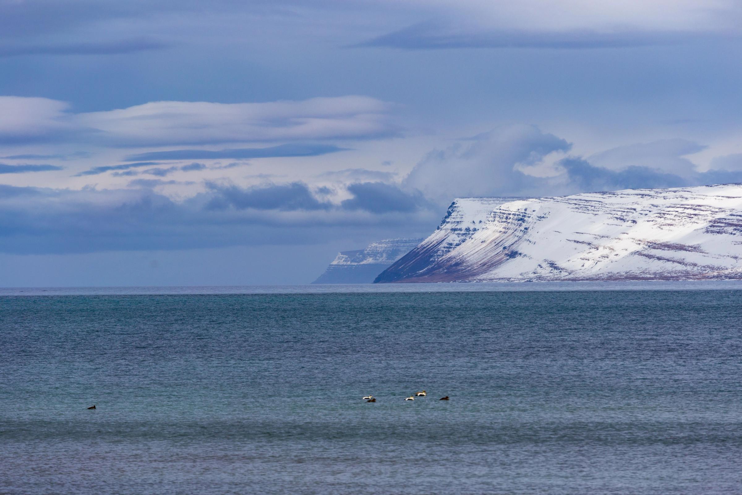 Glaciar Drangajokull