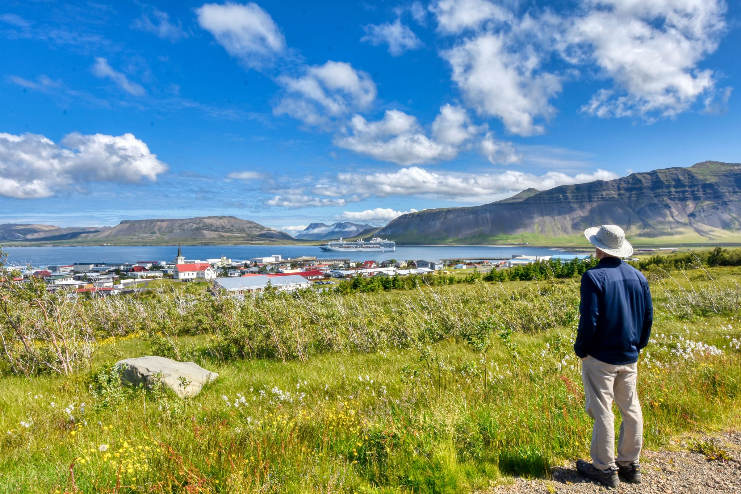 a man in a hat is standing in a field looking at a city .
