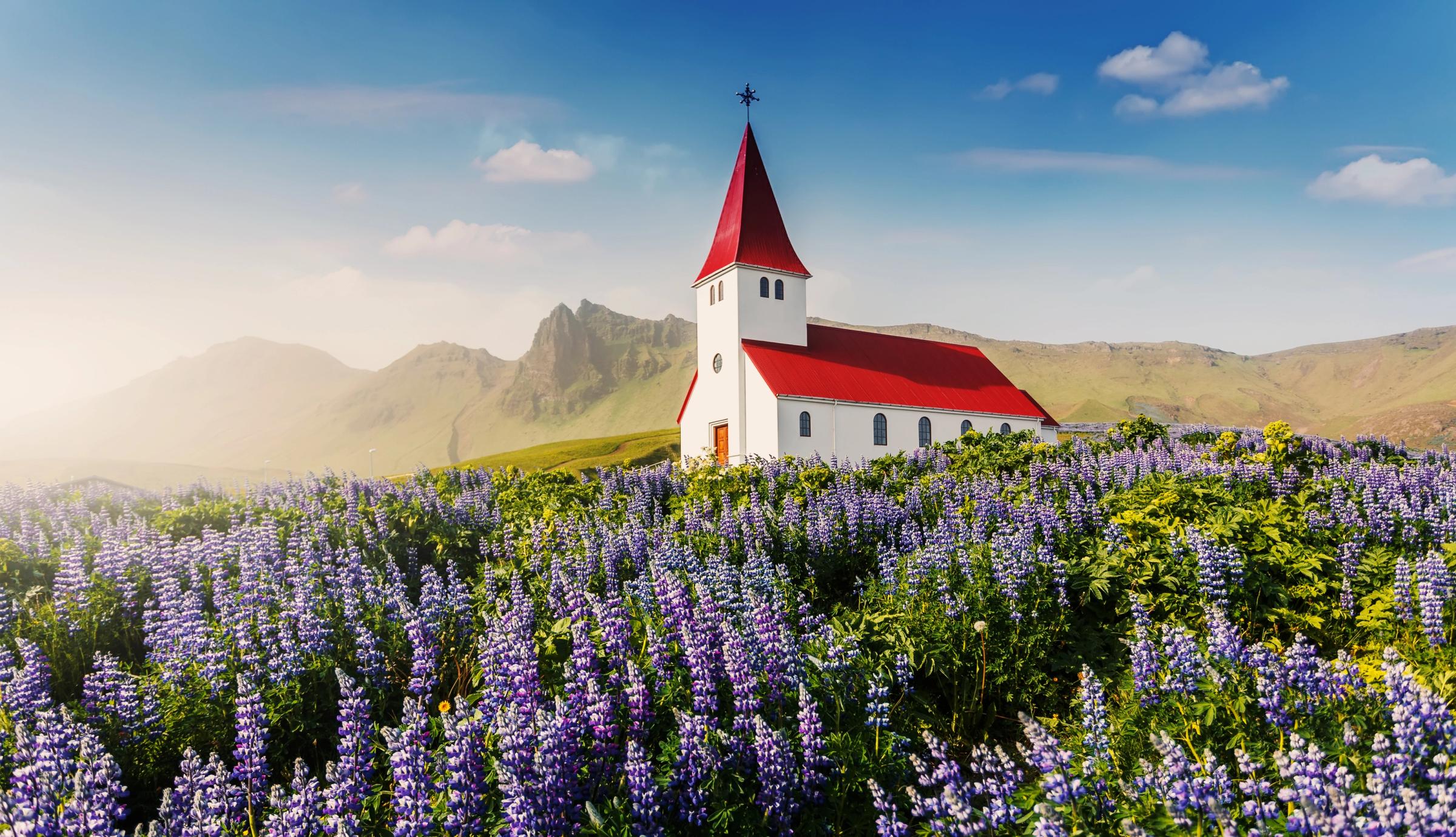 una iglesia blanca con tejado rojo en un campo de flores moradas