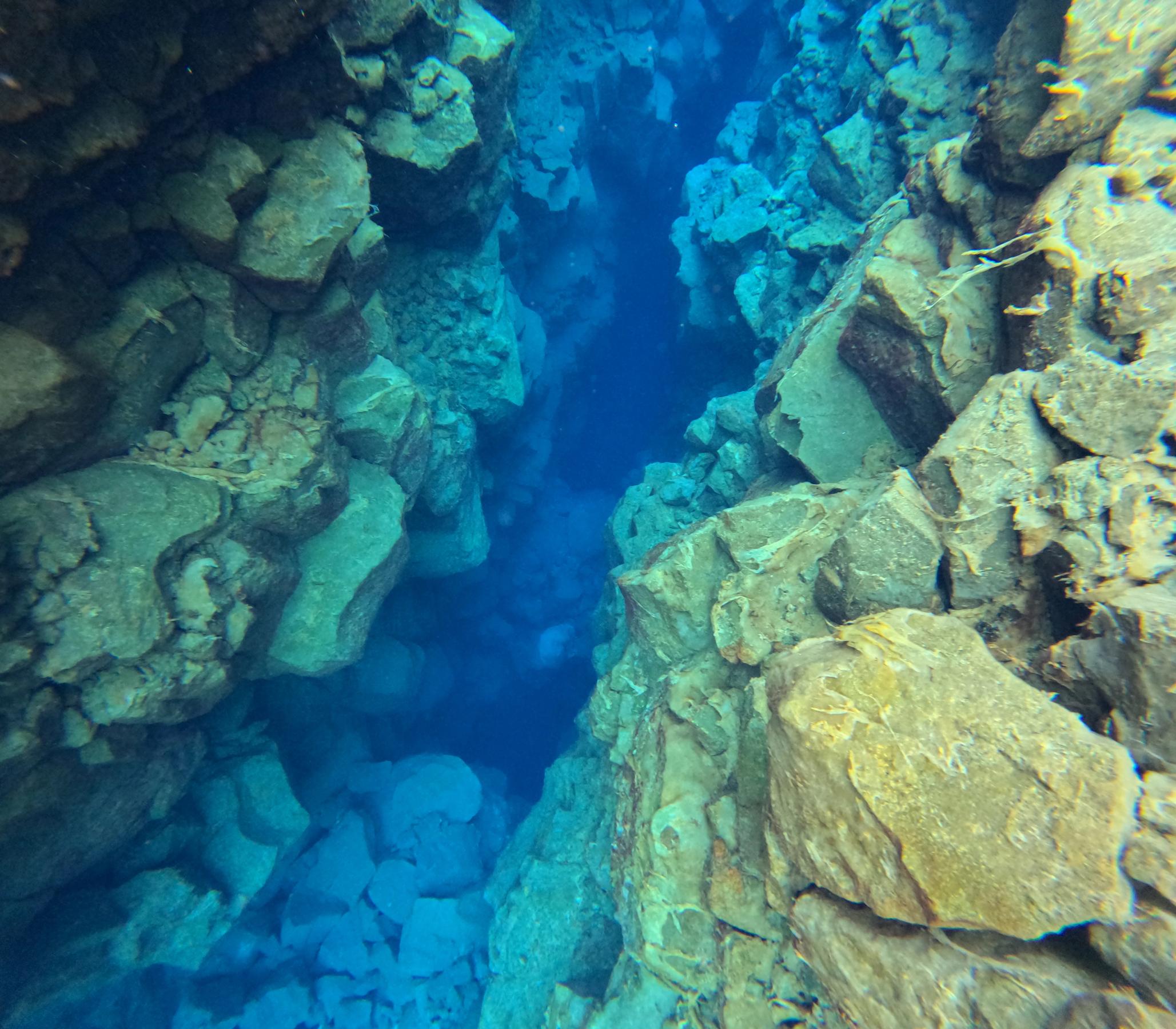 un buceador está nadando a través de una cueva en el océano .