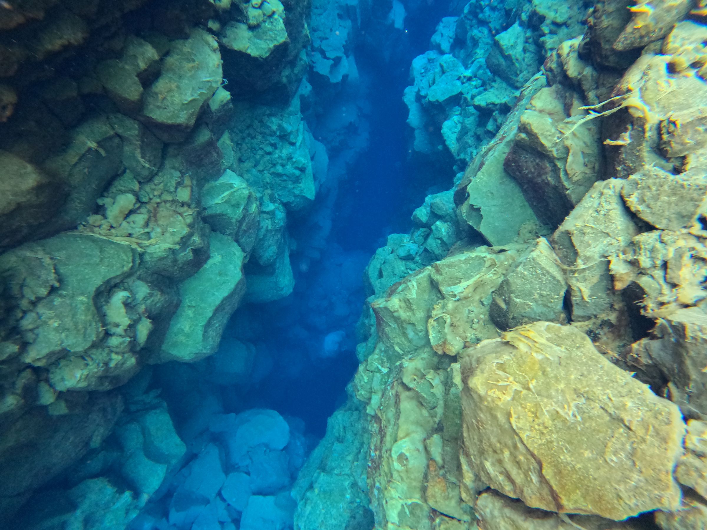 un buceador está nadando a través de una cueva en el océano .