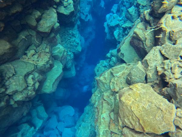 un buceador está nadando a través de una cueva en el océano .
