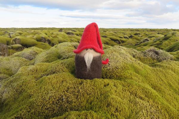 a gnome wearing a red hat is sitting in a pile of moss .