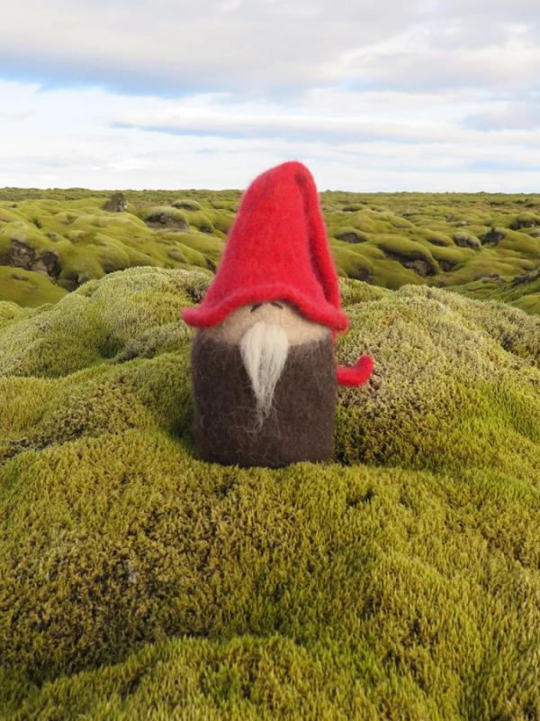 small elf coming out of the moss in Iceland