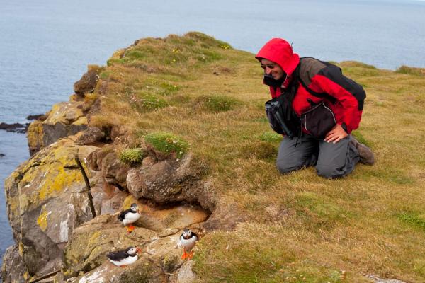 A person in a red jacket kneels on a grassy cliff, observing three puffins on the rocks below, with the ocean in the background.