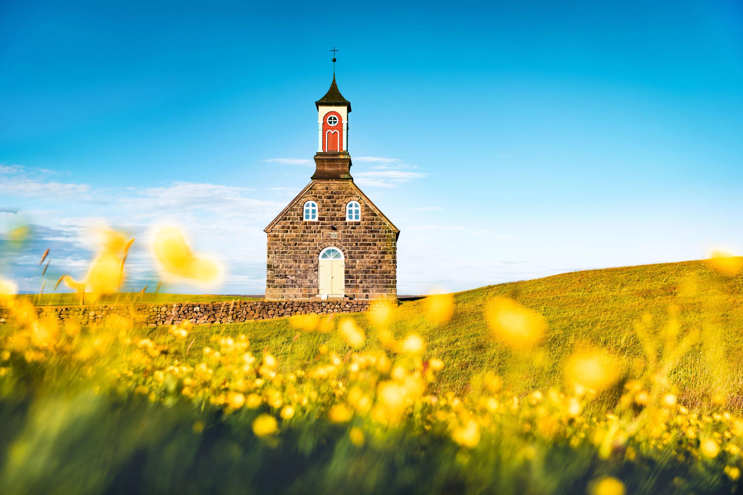 Bright morning view of Hvalsneskirkja church among blooming yellow flowers. Splendid summer scene of Iceland