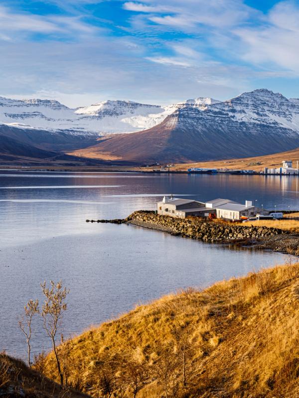 A scenic fjord with snow-capped mountains, a port town, and a winding path on a golden hill.