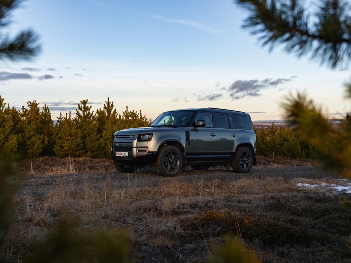 Land Rover Defender aparcado entre pinos Land Rover Defender de alquiler aparcado entre pinos al atardecer en Islandia, disponible para alquilar en Go Car Rental