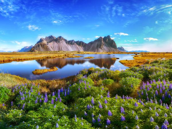 Aerial view of Iceland's stunning landscapes during Iceland in august late summer