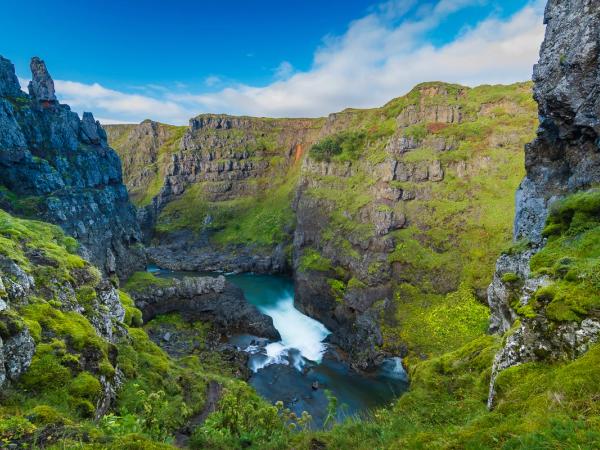 A deep moss-covered canyon with a river running through it under a blue sky.