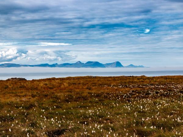 Péninsule de Vatnsnes, Islande