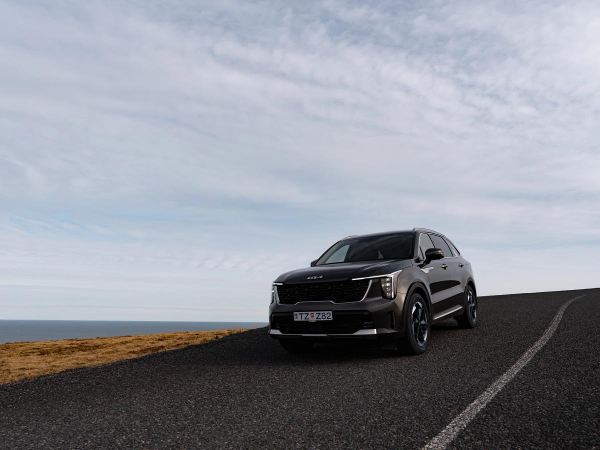 Route côtière de Sorento SUV Kia Sorento de location en Islande roulant sur une route côtière goudronnée surplombant la mer