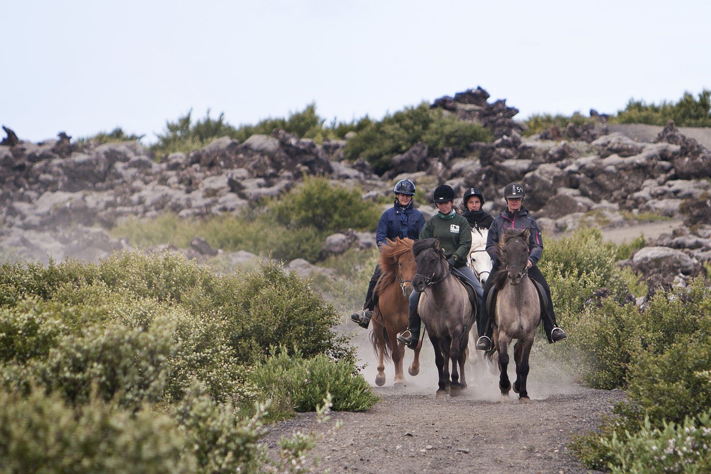 a group of people are riding horses down a dirt road .