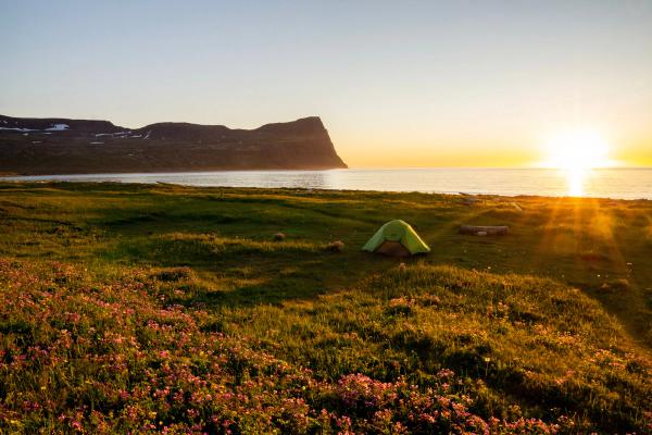 Camping tent in front of the ocean under the Midnight sun, Iceland