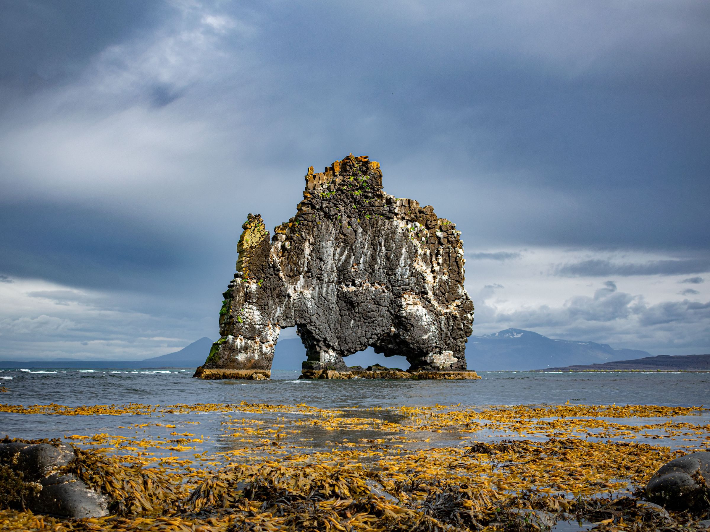 Hvitserkur