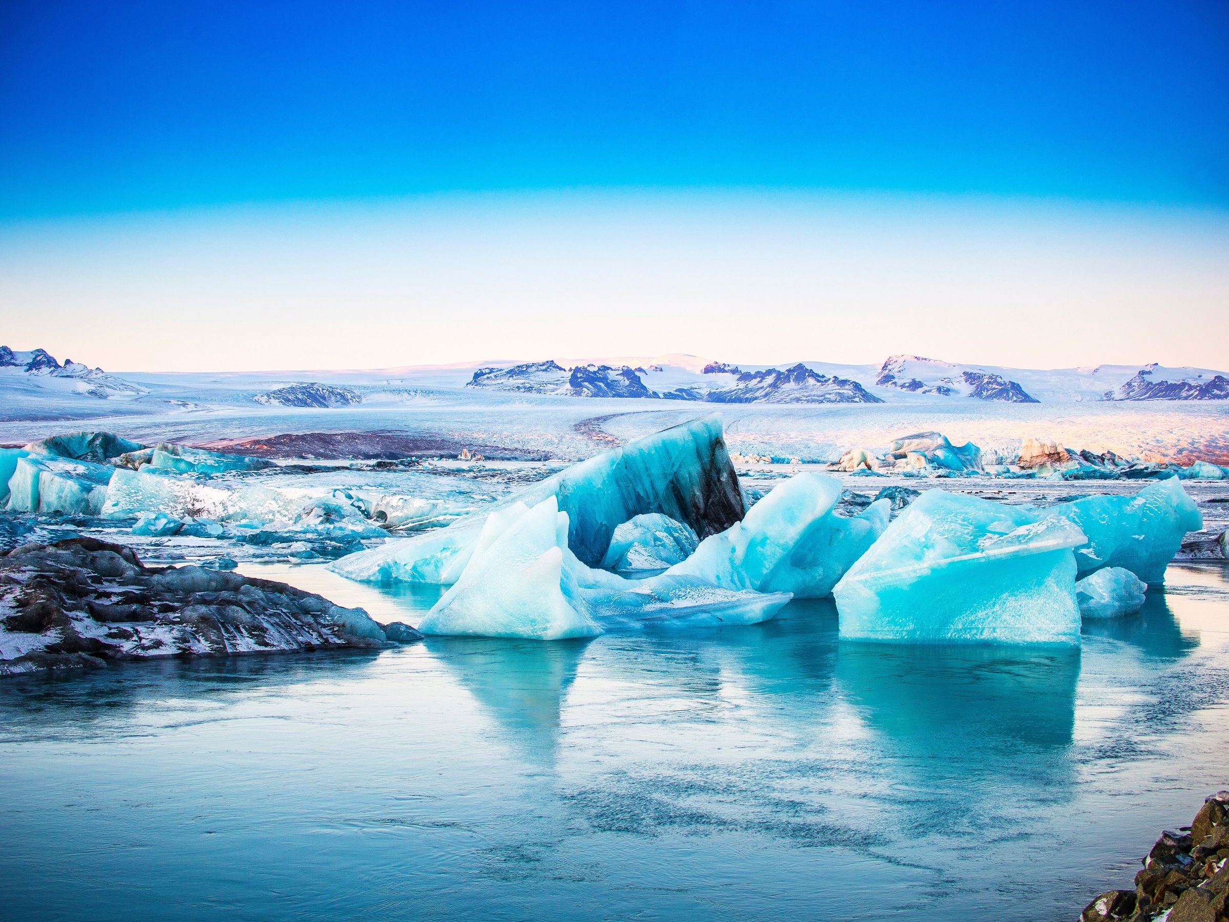 Vibrantes icebergs azules flotan en una laguna glaciar con montañas nevadas al fondo.
