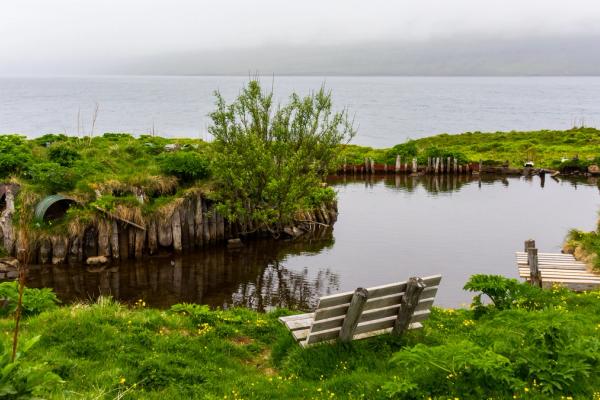 a small pond surrounded by grass and trees next to a body of water at Skalanes in iceland.