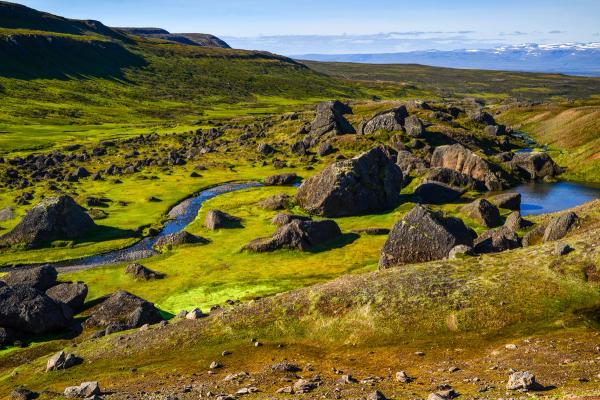 un río fluye a través de un exuberante valle verde rodeado de rocas y hierba.