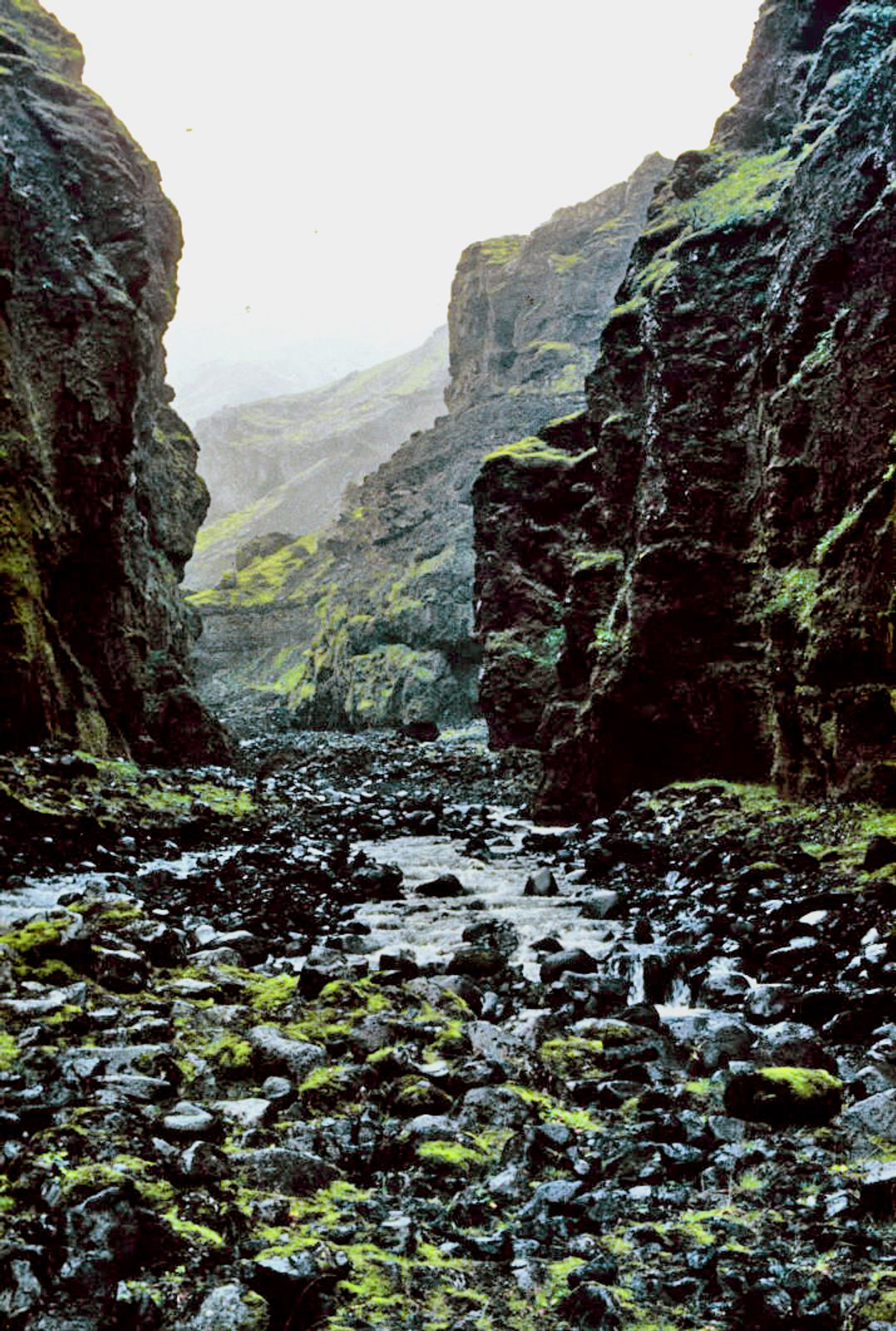 A rocky stream flows through a deep, mossy canyon.