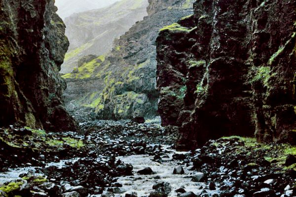 A rocky stream flows through a deep, mossy canyon.