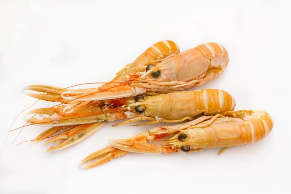 three shrimp are sitting on top of each other on a white surface .