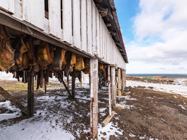 a building with a lot of meat hanging from the ceiling .