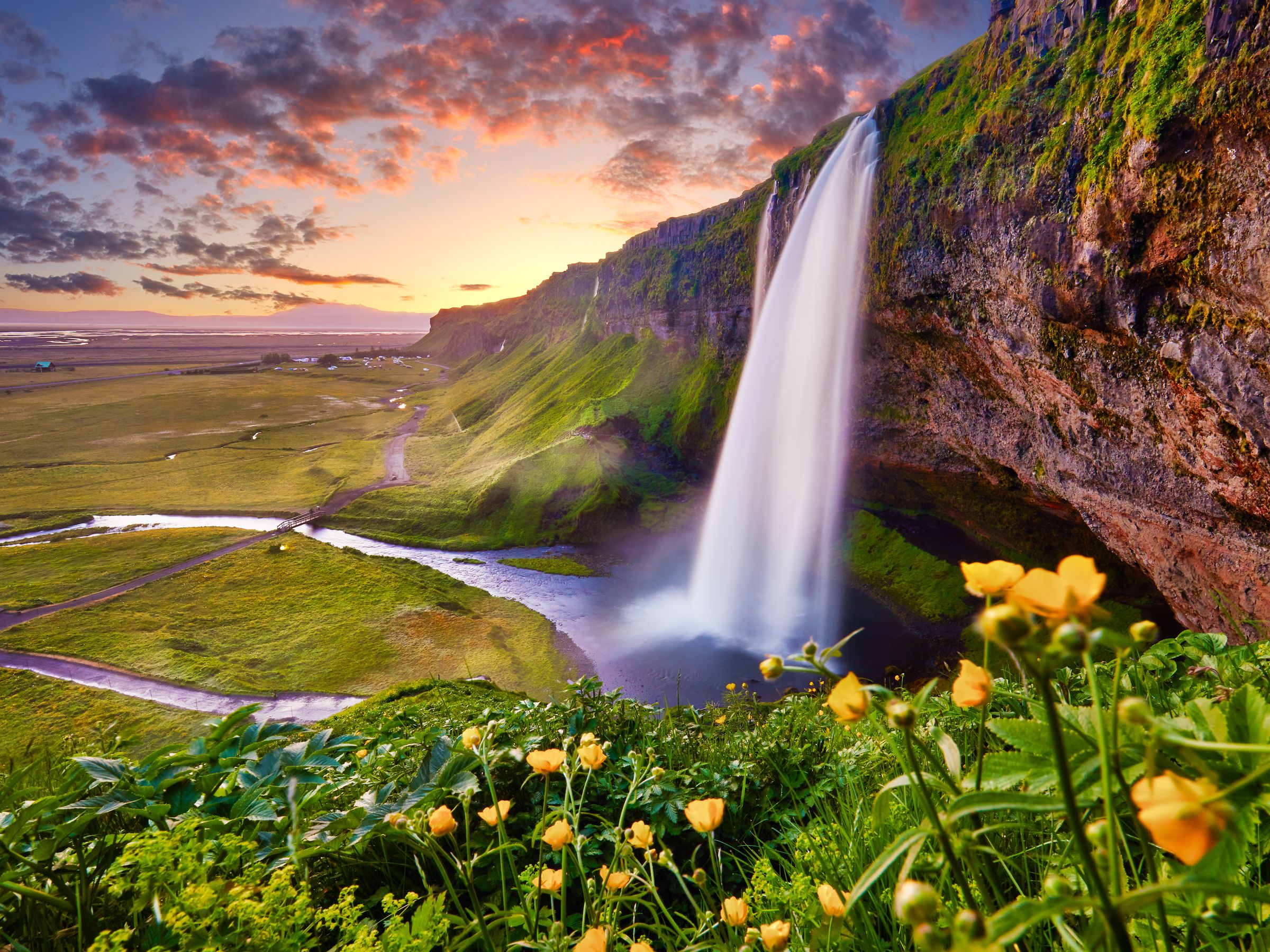 a waterfall in the middle of a field with flowers in the foreground at seljalandsfoss in iceland.