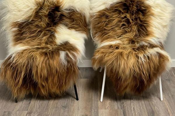 Two Icelandic sheepskin rugs