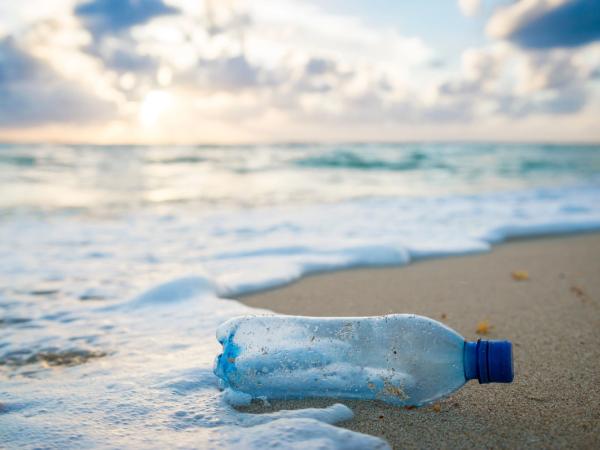 Plastic bottle on a beach