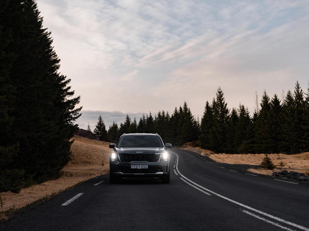 Route forestière de Sorento Vue de face d’un Kia Sorento 4x4 de location en Islande, roulant sur une route goudronnée à travers la forêt